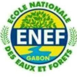 logo_enefgabon_250x250